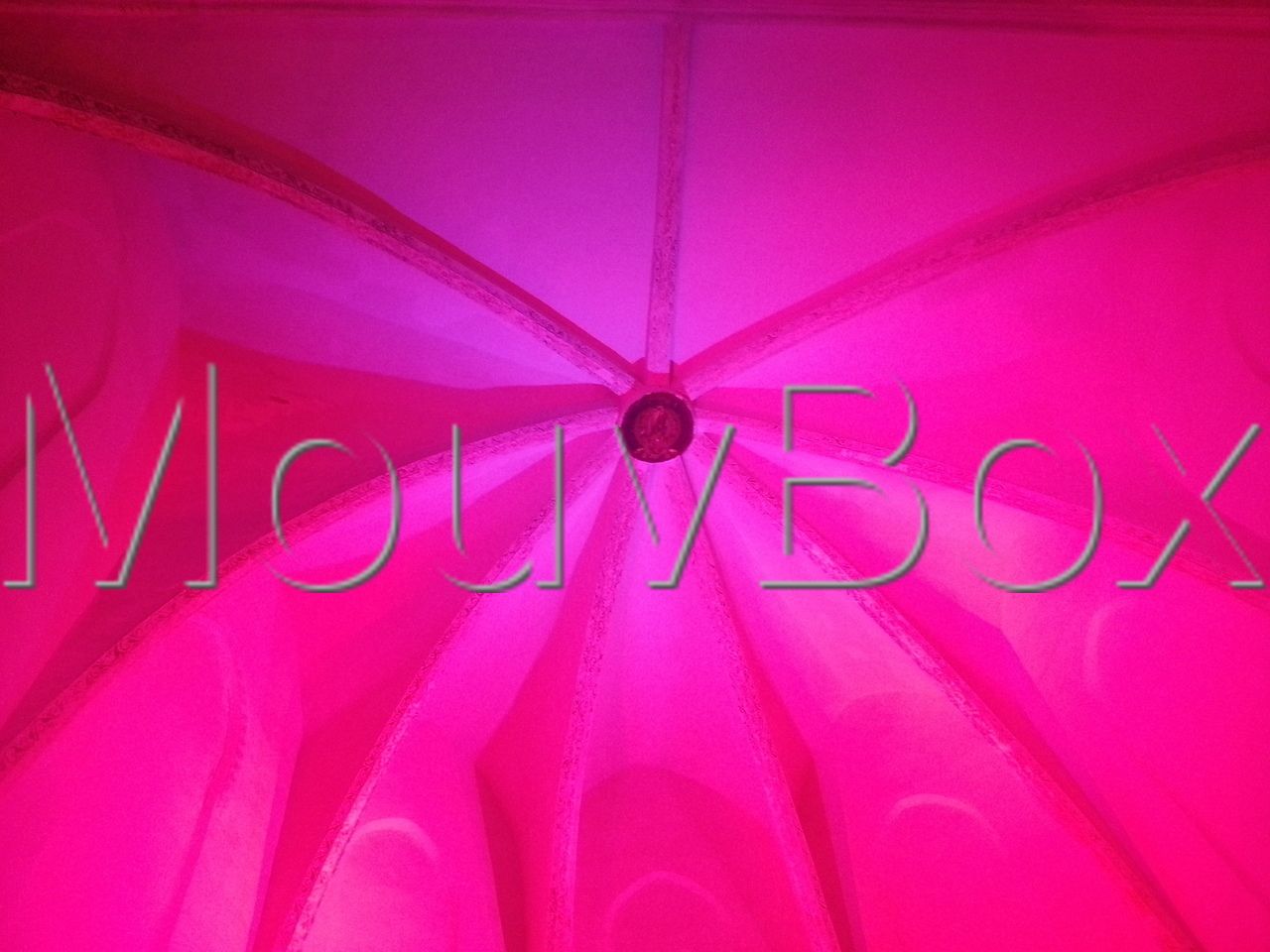 live-au-campo-mouvbox-concert-container-conteneur